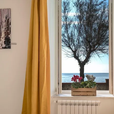 Appartement Accasarte P01