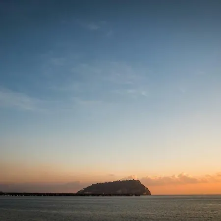 Accasarte P01 Appartement