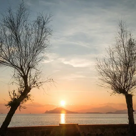 Accasarte P01 Appartement Napels