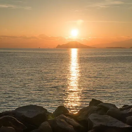 Accasarte P01 * Napels