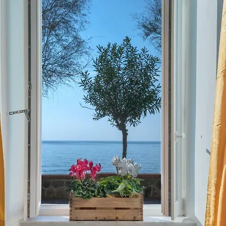 Accasarte P01 Nápoly