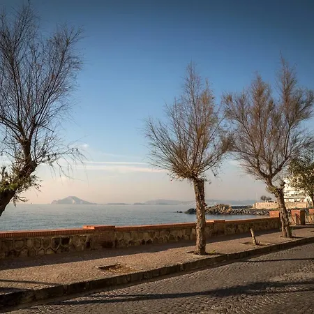 Accasarte P01 Nápoly